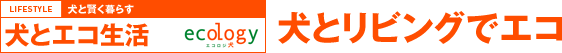 犬と賢く暮らす 犬とエコ生活 犬とリビングでエコ