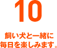 10 飼い犬と一緒に毎日を楽しみます。