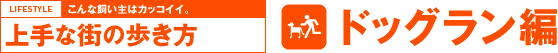 こんな飼い主はカッコイイ。上手な街の歩き方 ドッグラン編