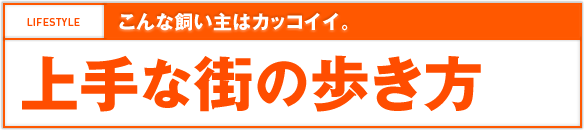 こんな飼い主はカッコイイ。 上手な街の歩き方