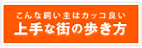 こんな飼い主はカッコ良い 上手な街の歩き方